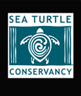 Conserve Sea Turtles